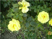 b82003bb-Picture 690.jpg